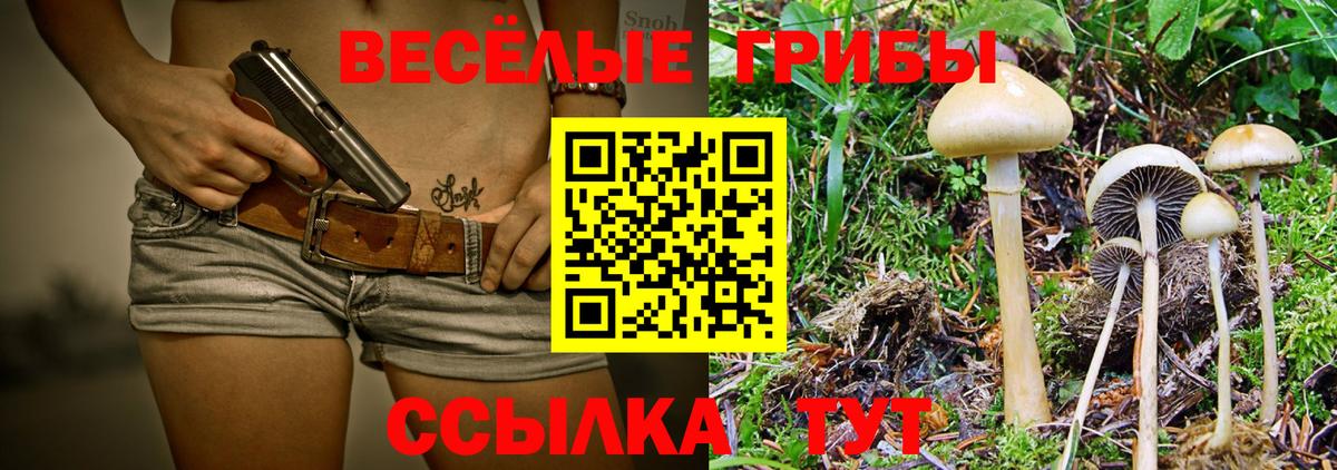 Галлюциногенные грибы Cubensis Южно-Сахалинск